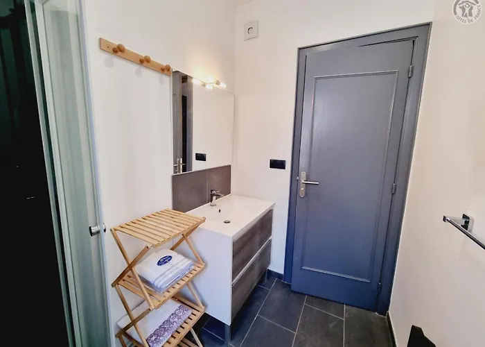 Appartement Duplex Zen Au Centre De Valenciennes, Inclus, Animaux Autorisés - Fr-1-510-232